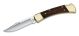 Buck Folding Hunter