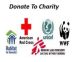 Donate to Charity $175